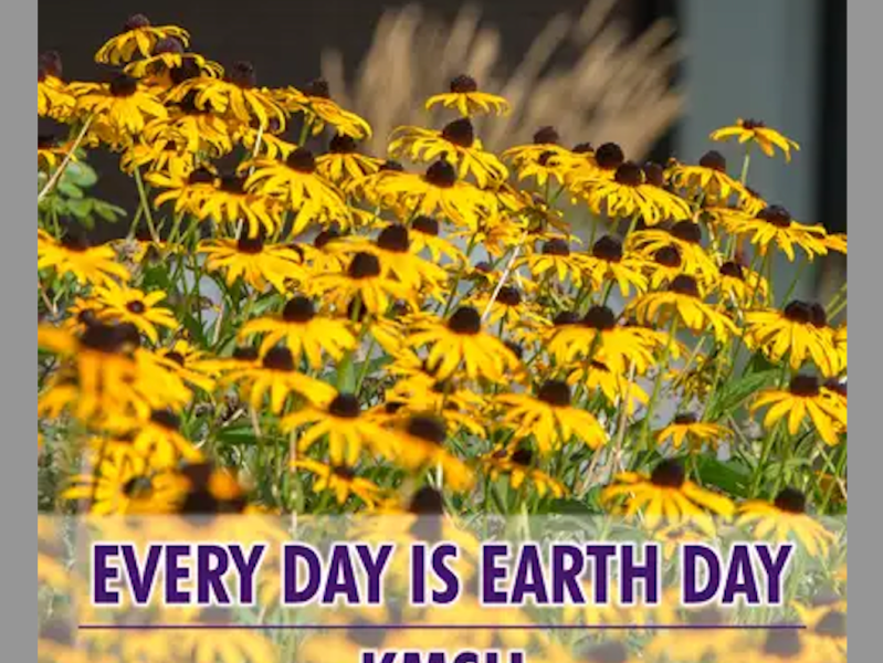 Noise pollution: Another environmental hazard that can&nbsp;kill